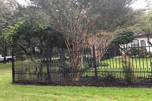 Shrub/Hedge Trimming