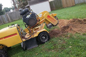 Stump Grinding